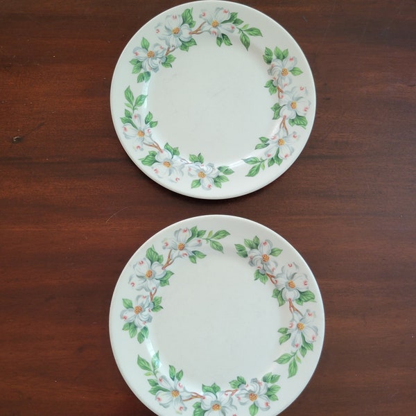 Vintage Syracuse Dogwood Pattern Plates Set of 2 Norfolk Western Railroad Dogwood China 8 inch plates