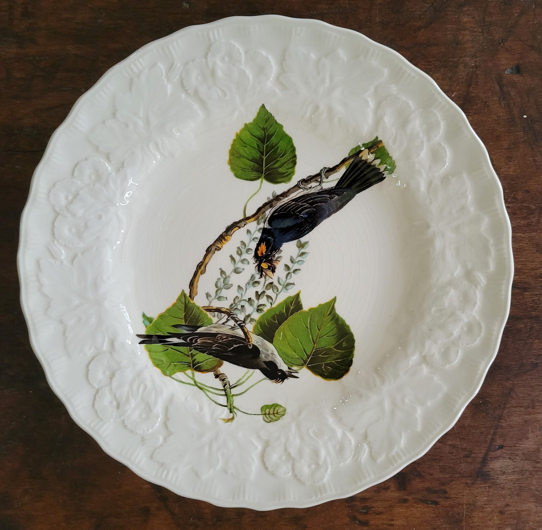 Vintage Alfred Meakin American Birds Luncheon Plates Audubon