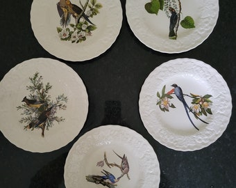Vintage Audubon Society Luncheon Plates – Alfred Meakin American