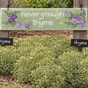 May include: A light green wooden sign with the words "never enough thyme" in white, decorated with purple flowers and yellow butterflies. Two small black signs with the word "thyme" are in front of a thyme plant.