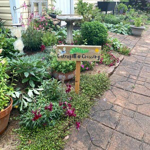 Puede incluir: Un letrero de madera con la inscripci&oacute;n "Caterpillar Crossing" y una ilustraci&oacute;n de una oruga verde, una mariposa y un sol. El letrero est&aacute; en un jard&iacute;n con varias plantas y flores.
