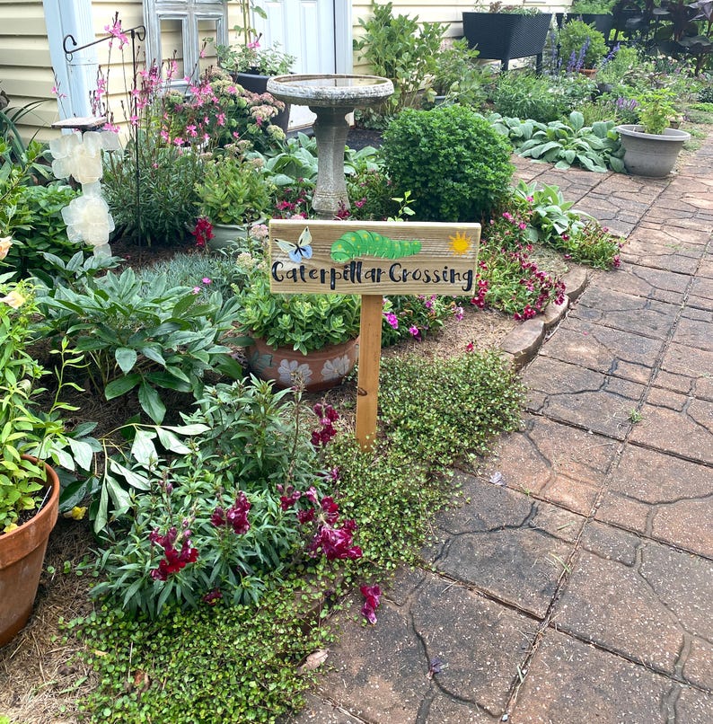 Puede incluir: Un letrero de madera con la inscripci&oacute;n "Caterpillar Crossing" y una ilustraci&oacute;n de una oruga verde, una mariposa y un sol. El letrero est&aacute; en un jard&iacute;n con varias plantas y flores.