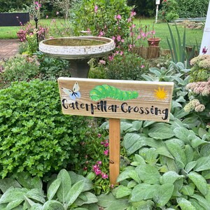 Puede incluir: Un letrero de madera en un jard&iacute;n que dice "Caterpillar Crossing". El letrero presenta una mariposa azul pintada, una oruga verde y un sol amarillo. El letrero est&aacute; montado en una estaca de madera y rodeado de vegetaci&oacute;n y flores.