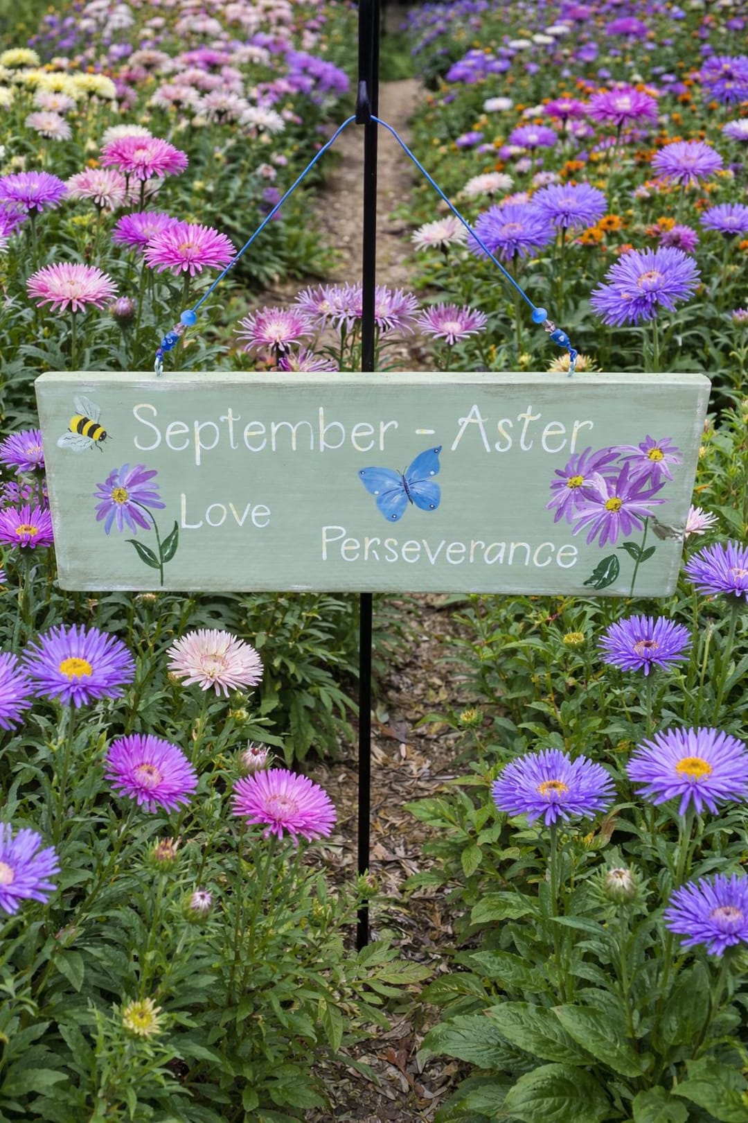 Aster Sign Hand Painted Aster Wood Sign | September Birth Flower Garden Decor ...