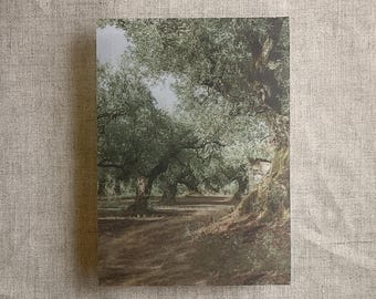 Olive tree groove white translucent vellum overlays for 5x7 inches cards PACK of 10