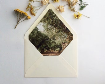 Fine art oil painting landscape olive tree groove printed envelope liner for A7 EURO flap Invitation envelope - optional add on A7 envelope