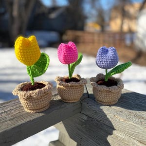 May include: Three crocheted tulip flowers in small pots. The tulips are yellow, pink, and blue, each with a green leaf and stem. The pots are beige with a ruffled edge, and filled with brown material.