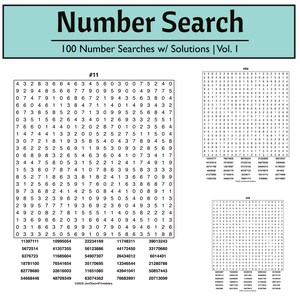 100 Number Searches Vol. 1