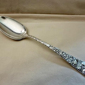 May include: A silver spoon with an oval bowl and a detailed floral pattern on the handle. The spoon is made of a shiny, reflective metal and is set against a neutral background. The handle features a raised floral design.