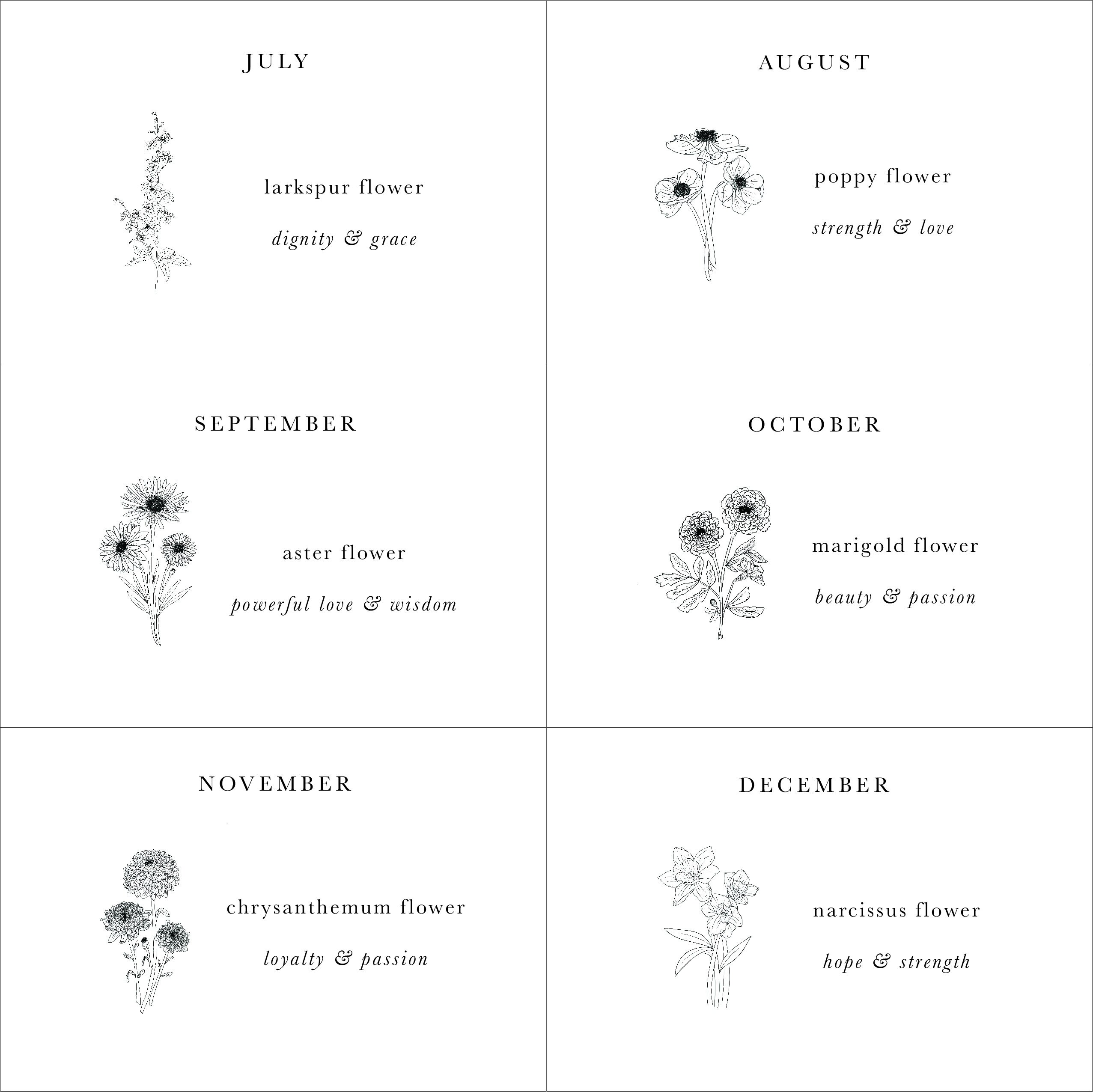 June Birth Flower Rose Flower Rose Floral Print Birth Etsy Canada