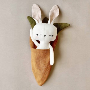 May include: A white bunny plush toy with closed eyes is nestled inside a brown fabric carrot-shaped sleeping bag. The bunny has a simple embroidered face with black eyes and a pink nose.
