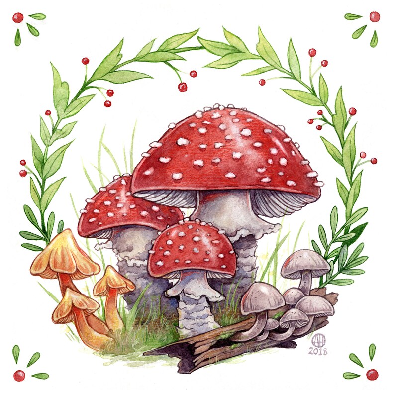 Magical Mushrooms Art Print Mushroom Cluster Art Etsy
