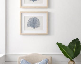 Set of 2 Slate Blue Sea Fan Shadowbox Art, Coastal Wall Decor