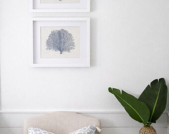Set of 2 Framed Slate Blue Sea Fan Shadowboxes, Coastal Wall Decor