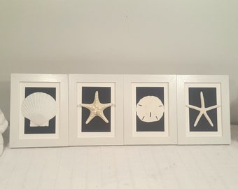 Framed Seashell Wall Art, Beach Decor, Set of 4