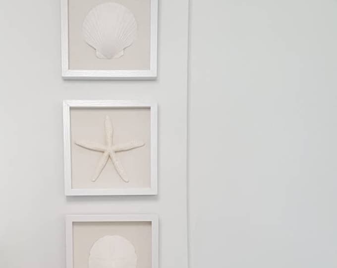 Seashell Shadowbox Art | Real Shell Art | Beach Housewarming Gift | Modern Coastal Wall Decor