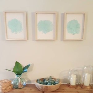 Set of 3 Framed Sea Fans, Sea Foam Sea Fan, Sea Fan Art, Sea Fan Shadowbox, Sea Coral, Framed Sea Life, Sea Foam Beach Decor, Beach Wall Art