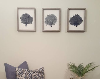 Framed Navy Blue Sea Fan Art, Custom Sea Fan, Coastal Interiors, Trending Interior Design