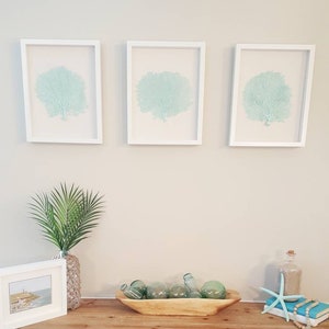 Set of 3 Framed Sea Fans, Sea Foam Sea Fans, Sea Fan Decor, Sea Fan Art, Sea Coral, Sea Fan Shadowbox, Coral Shadowbox,Sea Foam Beach Decor