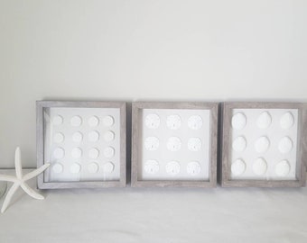 Framed Sea Life Shadowbox Set, Linen Background, Coastal Wall Decor
