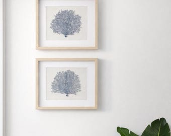 Set of 2 Slate Blue Sea Fan Shadowbox Art, Coastal Wall Decor