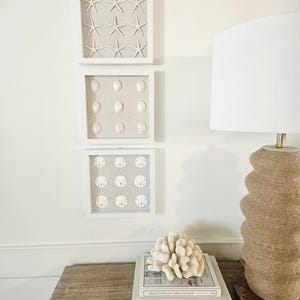 Set of 3 Framed Seashell Art | Coastal Wall Decor, Beach Cottage Gallery Wall