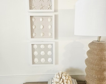 Set of 3 Framed Seashell Art | Coastal Wall Decor, Beach Cottage Gallery Wall