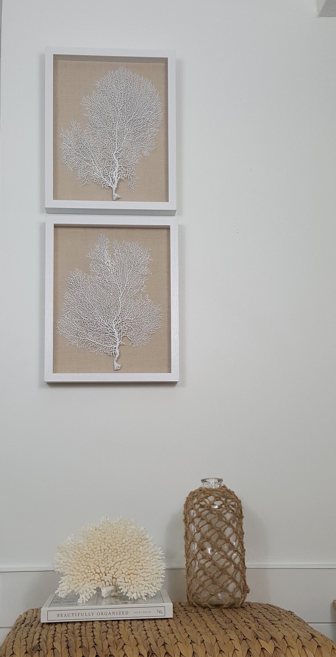 Set of 2 Framed Sea Fans, White Sea Fans, Sea Fan Art, Sea Fan Decor