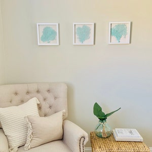 Set of 3 Framed Sea Fans, Sea Foam Sea Fans, Sea Fan Decor, Sea Fan Art, Sea Coral, Sea Fan Shadowbox, Coral Shadowbox,Sea Foam Beach Decor