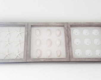 Framed Sea Life Art, Seashell Shadowbox Set of 3, Beach Wall Decor
