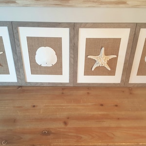 Set of 4 Framed Seashells, Beach Entryway Decor, Beach Bedroom Decor, Framed Starfish, Framed Sand Dollar, Seashell Art, Framed Seashell Art