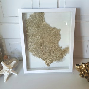 Framed Sea Fan, Gold Sea Fan, Sea Fan Shadowbox, Sea Coral, Sea Fan Art, Sea Fan Coral, Coral Shadow Box, Gold Beach Decor, Beach Wall Decor