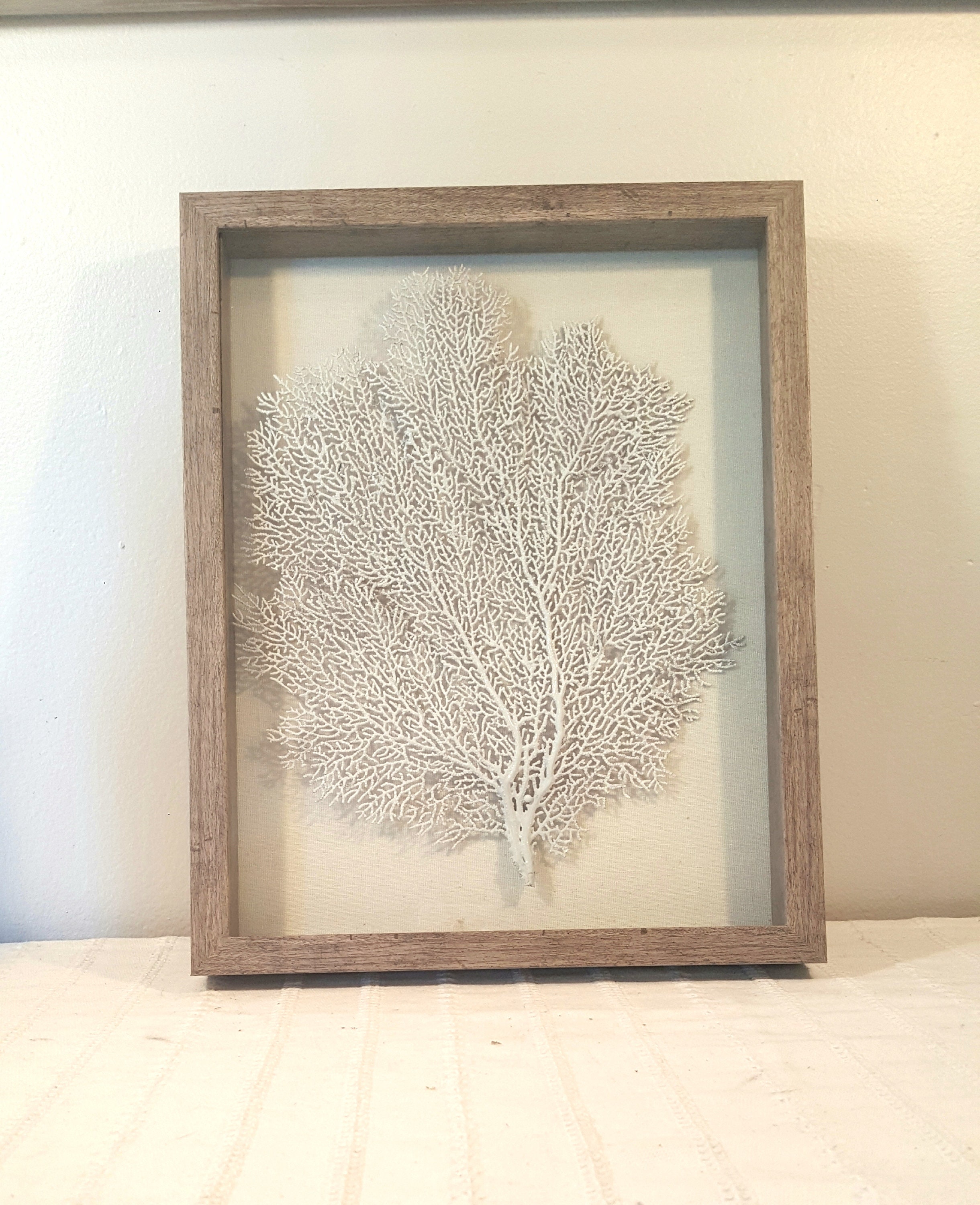 Set of 2 Framed Sea Fans White Sea Fans Sea Fan Art Sea Fan Etsy