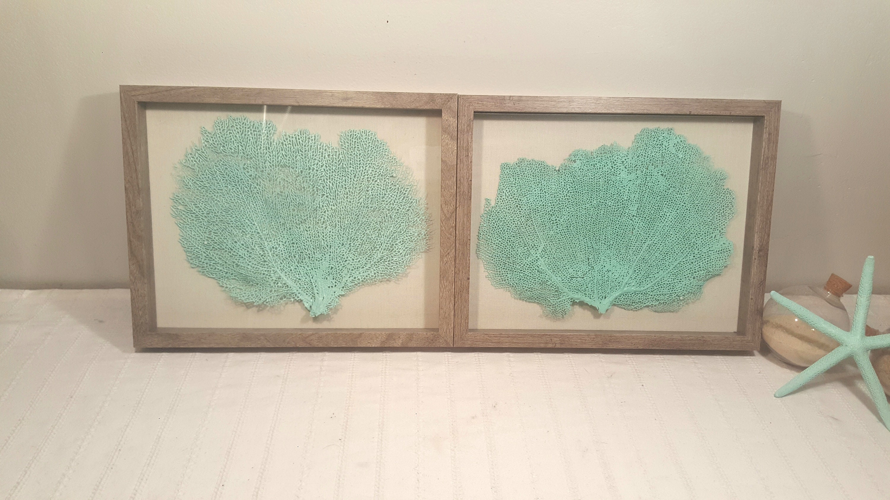 Set of 2 Framed Sea Fans Sea Foam Sea Fans Sea Fan Decor Etsy