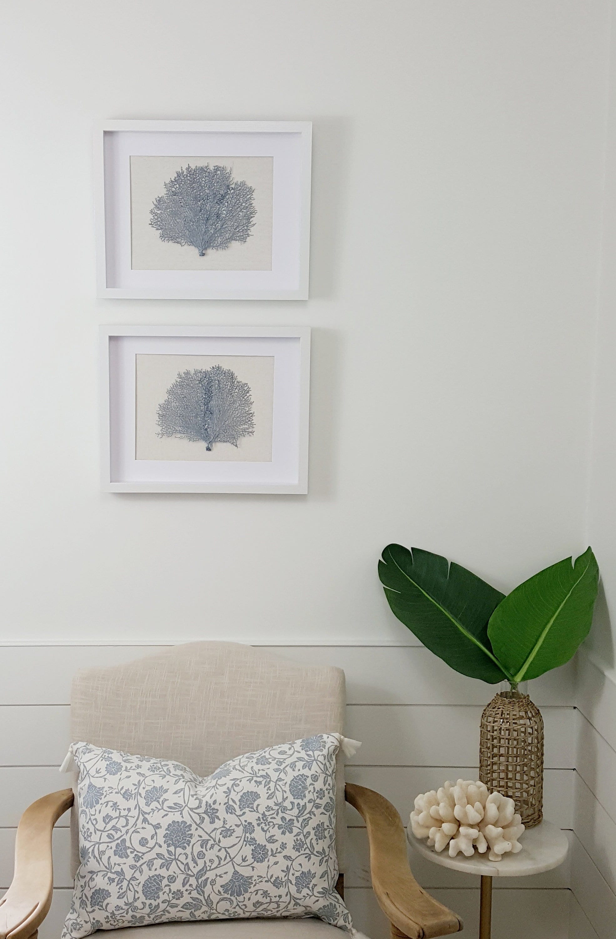 Set of 2 Framed Sea Fans Sea Fan Art Sea Fan Decor Sea Etsy