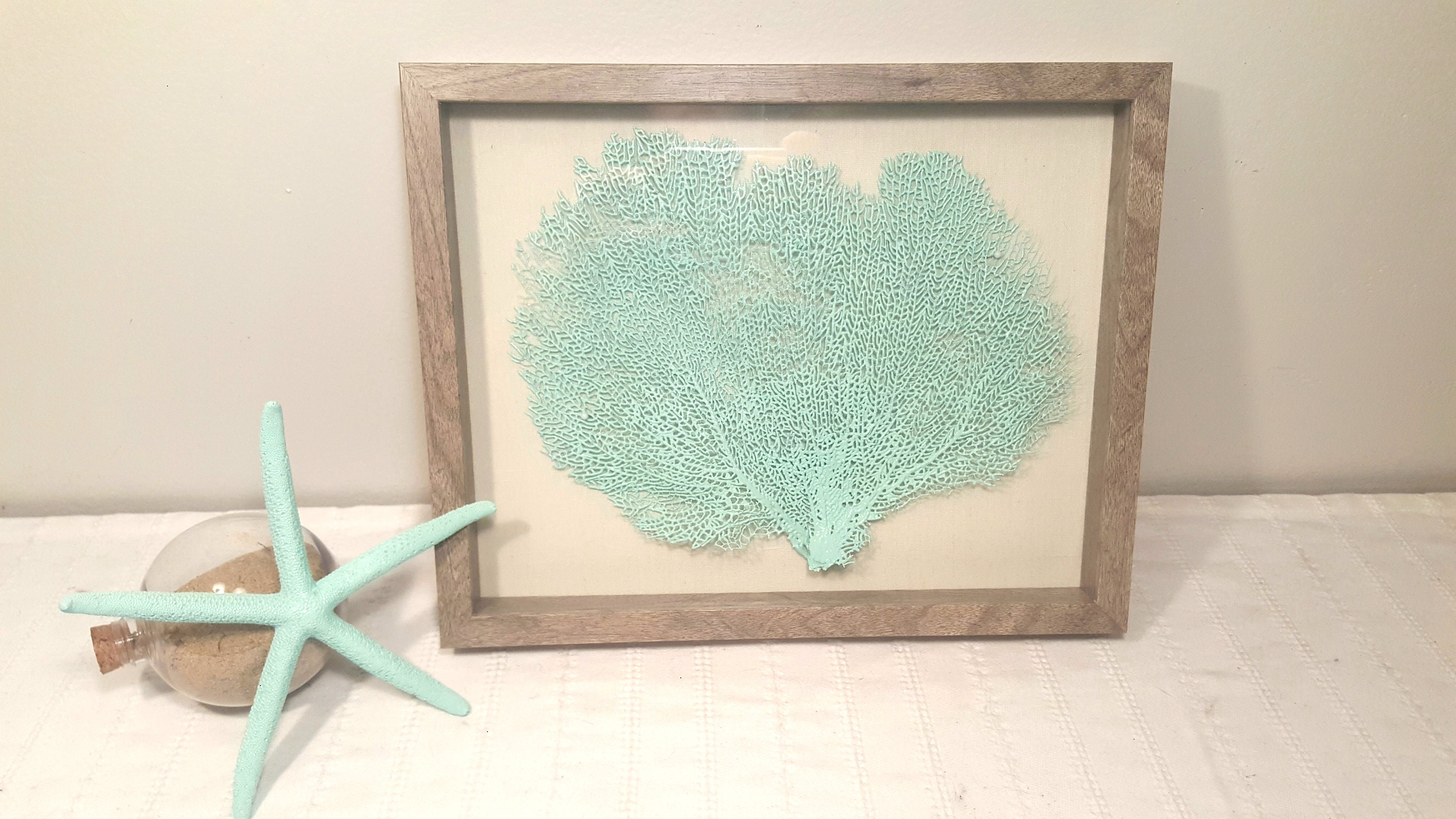 Set of 2 Framed Sea Fans Sea Foam Sea Fans Sea Fan Decor Etsy