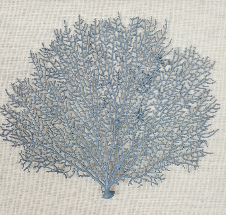 Set of 2 Framed Sea Fans Sea Fan Art Sea Fan Decor Sea Etsy