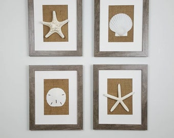 Framed Seashell Wall Art, Coastal Decor, Set of 4