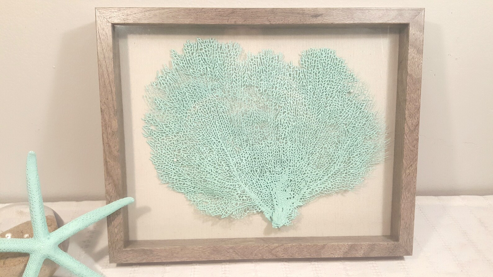 Set of 2 Framed Sea Fans Sea Foam Sea Fans Sea Fan Decor Etsy