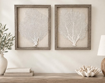 Set of 2 Framed  Sea Fan Shadowboxes, Custom Coastal Wall Art, Modern Coastal Wall Art, Coastal Entryway