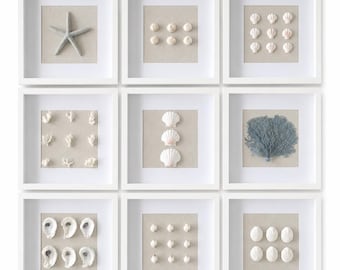 Coastal Entryway Gallery Wall, Beach House Wall Decor, Real Seashell Frames, Build Your Own Gallery Wall, Organic Wall Art