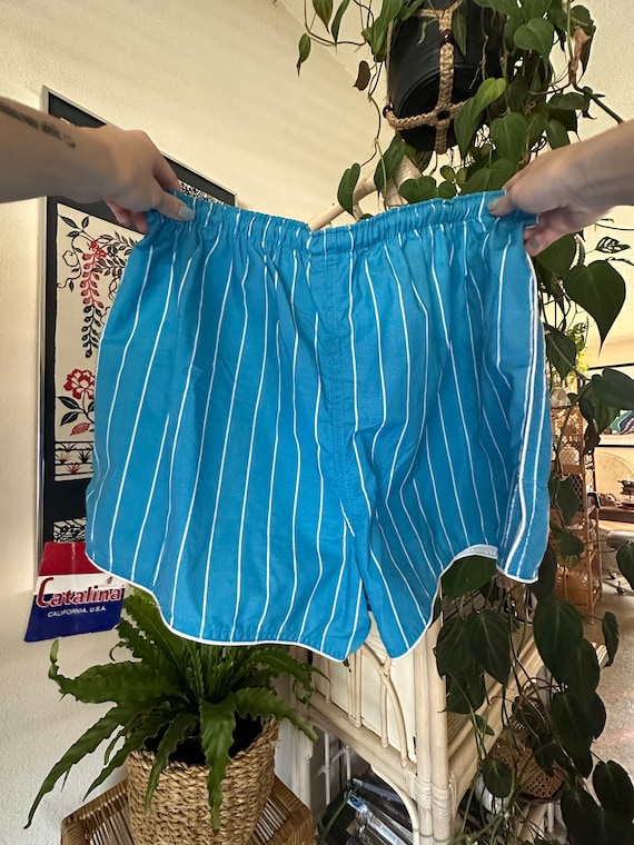 Deadstock Vintage Men’s Swim Trunks - Catalina Ca… - image 2