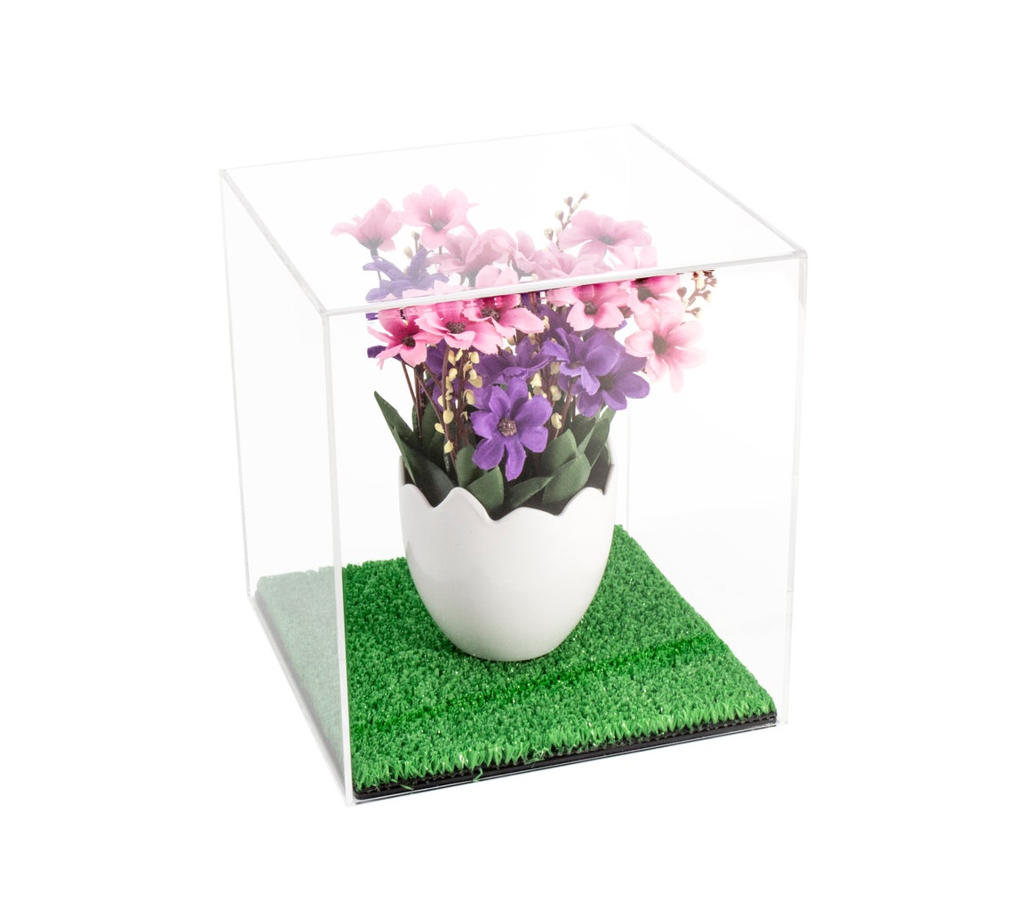 Versatile Deluxe Acrylic Display Case Small Rectangle Box With - Etsy