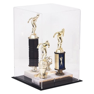 Unique Trophy Case Facelift with Collage of Champions and logo decals -  bannerville (630) 455-0304