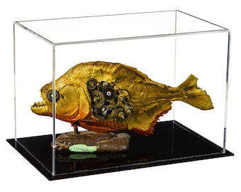 May include: A taxidermy piranha painted gold with exposed mechanical clock gears embedded in its side, mounted on a dark wooden base with a green label reading Piranha, all enclosed within a clear rectangular acrylic display case.