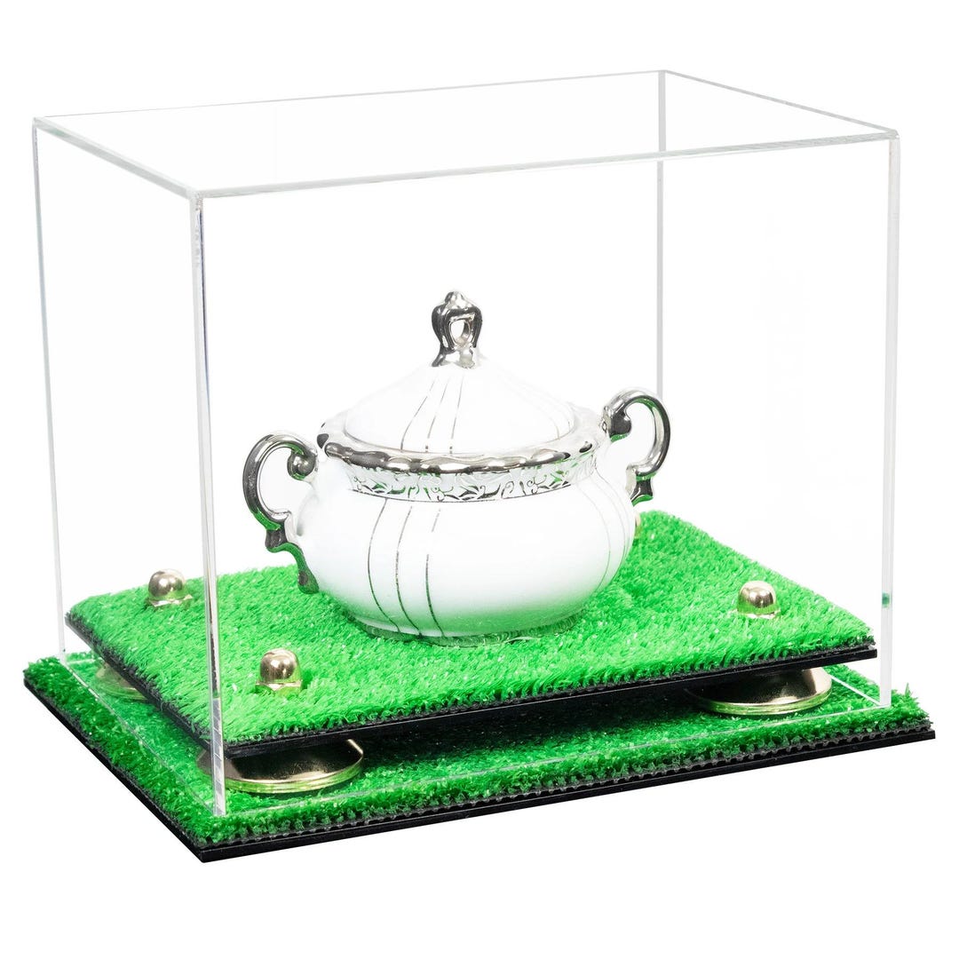 Versatile Acrylic Display Case - Small Rectangle Box With Risers and ...