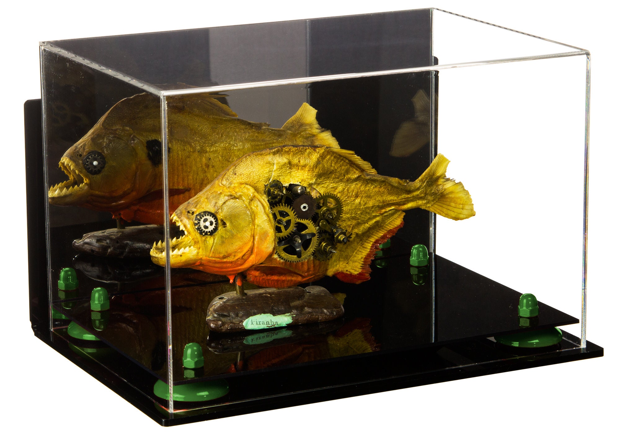 Versatile Acrylic Display Case Medium Rectangle Box With | Etsy