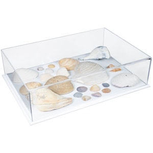Better Display Cases Versatile Clear Acrylic Display Case - Medium Rectangle Box with White Base 16&quot; x 11&quot; x 4&quot; (BK08/A029A-WDS)