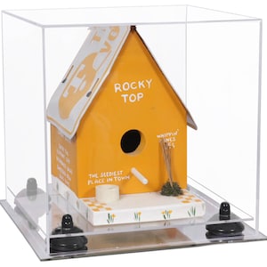 Versatile Display Case - Small Rectangle Box with Clear Case,  Risers and Mirror Base 9.75 X 9.75 X 9.75 (V02/A027)