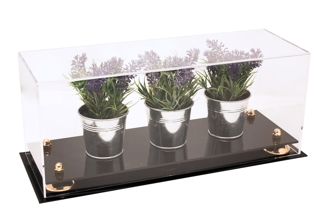 Versatile Clear Acrylic Display Case Large Rectangle Box With Risers
